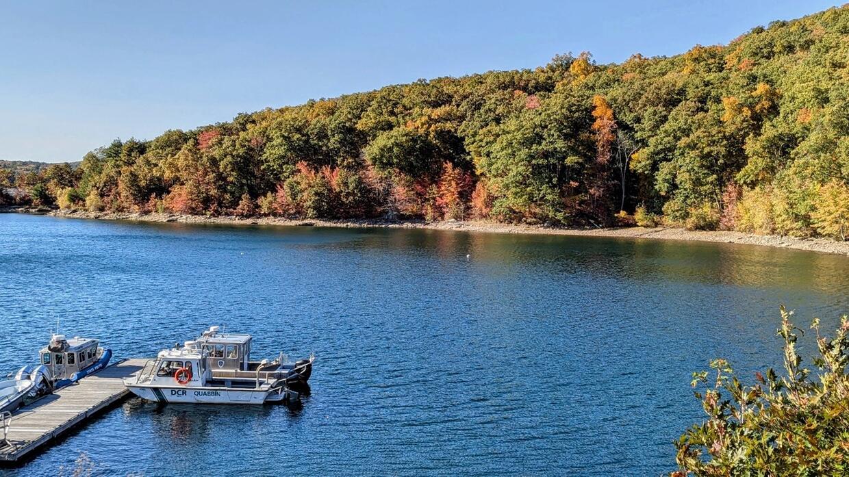 Drones Prove Deer Hunt Was Needed At Quabbin Park