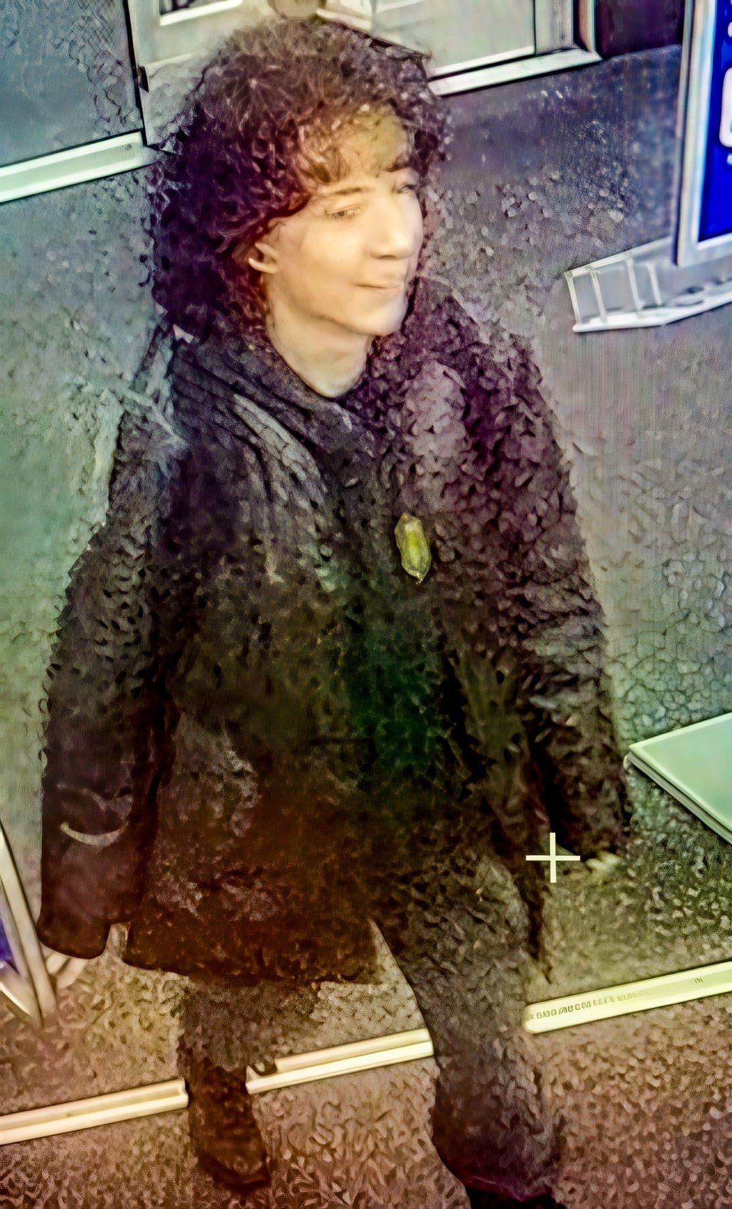 Drone Search Expands For Missing Toronto Person