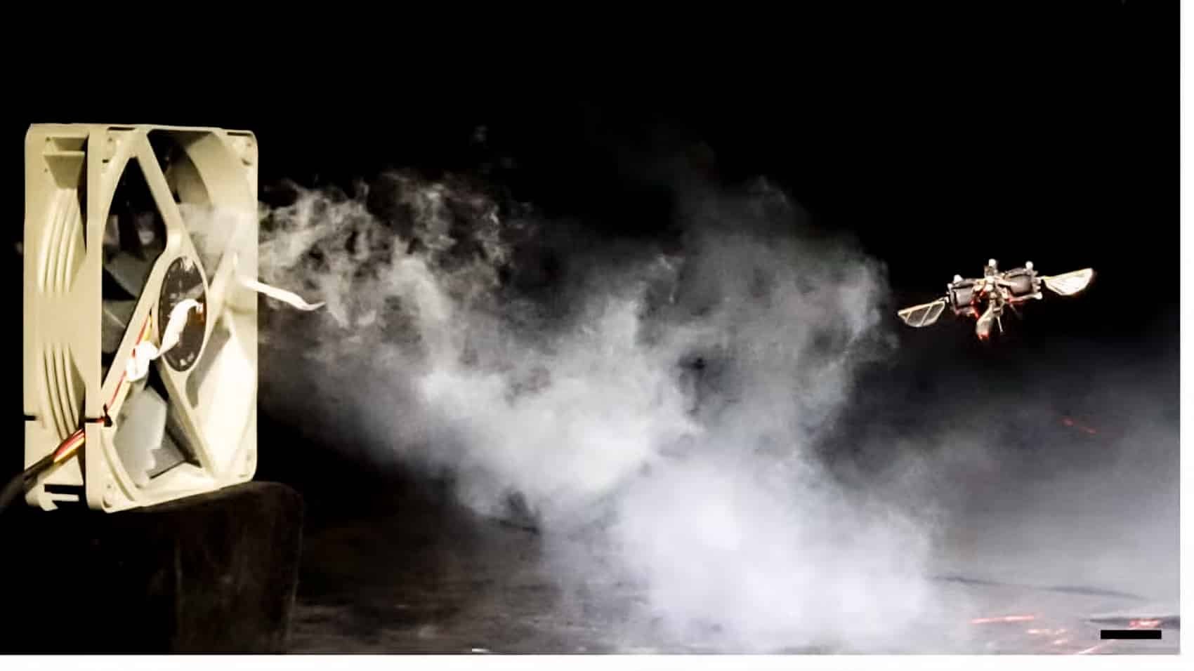 Tiny Flapping Drone Matches Insect Speed With An Ai Brain