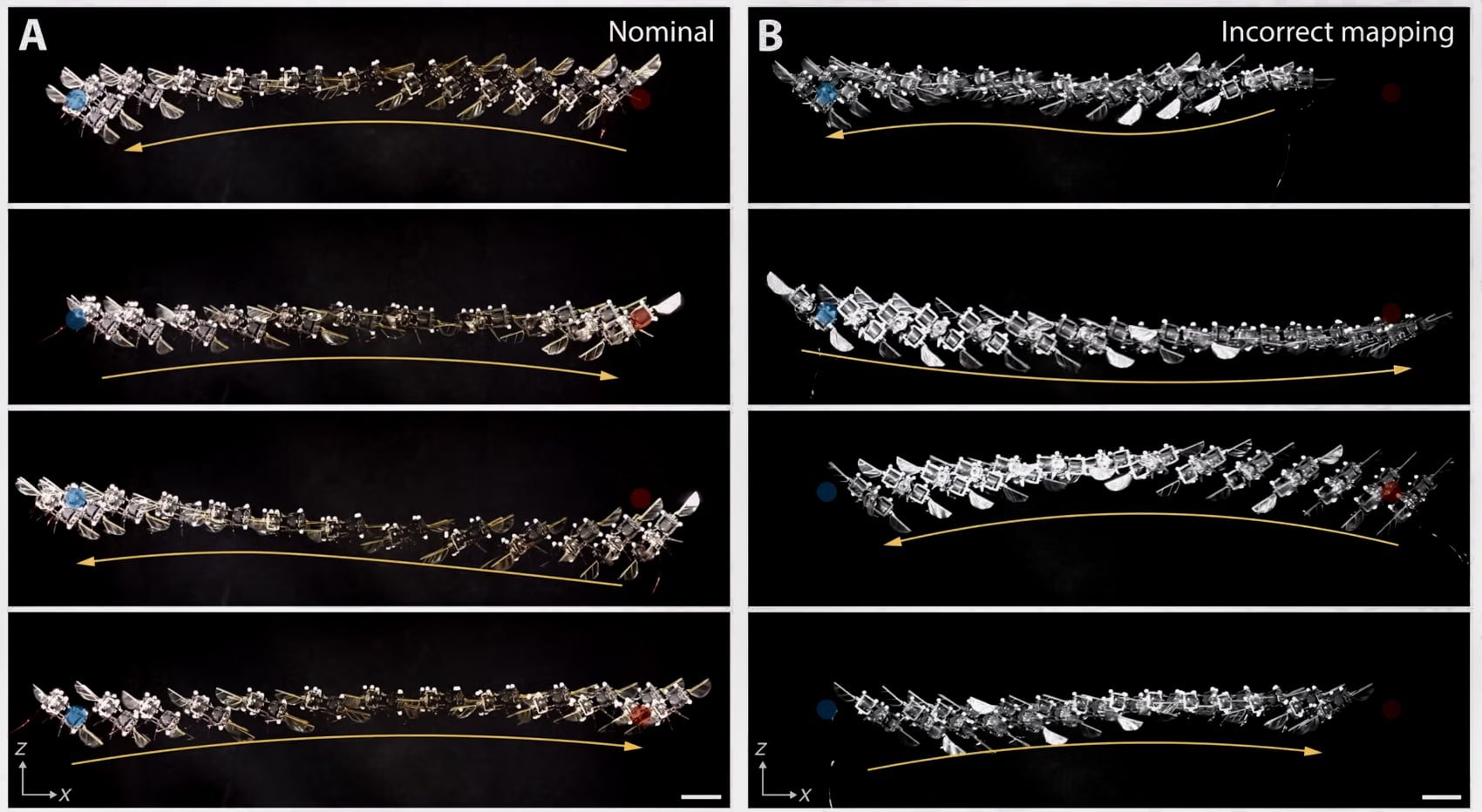 Tiny Flapping Drone Matches Insect Speed With An Ai Brain