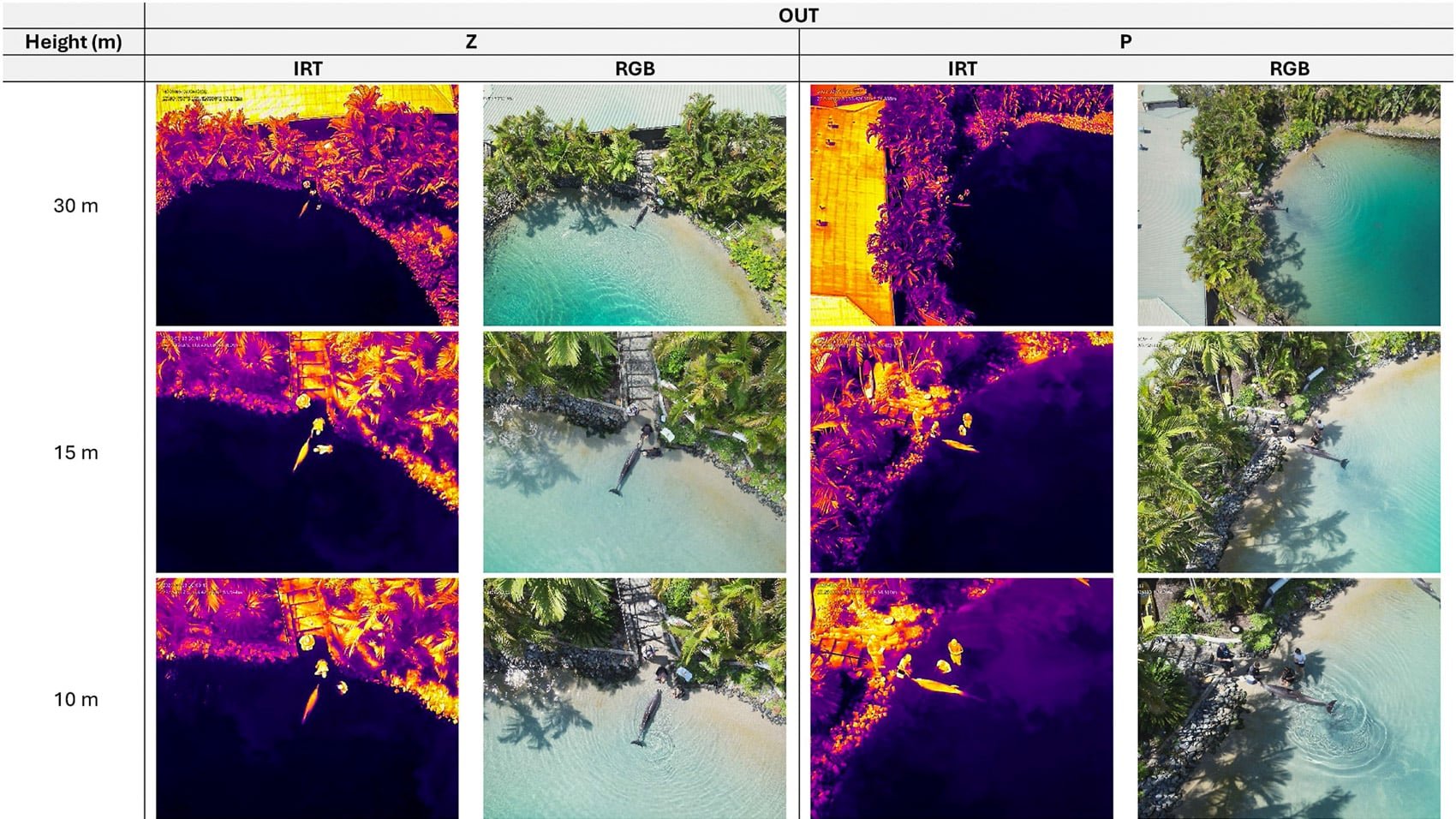 Thermal Drones Are Keeping An Eye On Dolphins
