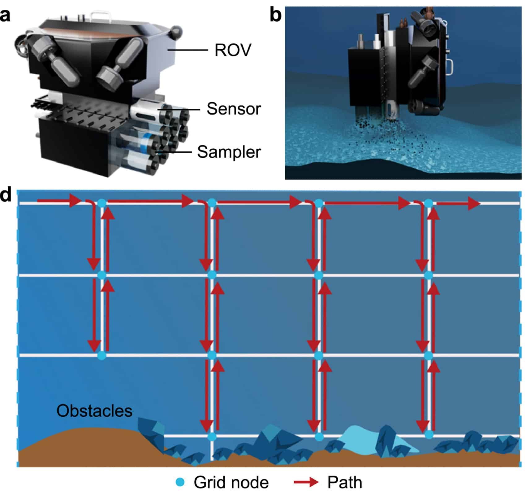 Underwater Drones Reveal The Hidden Start Of Algal Blooms