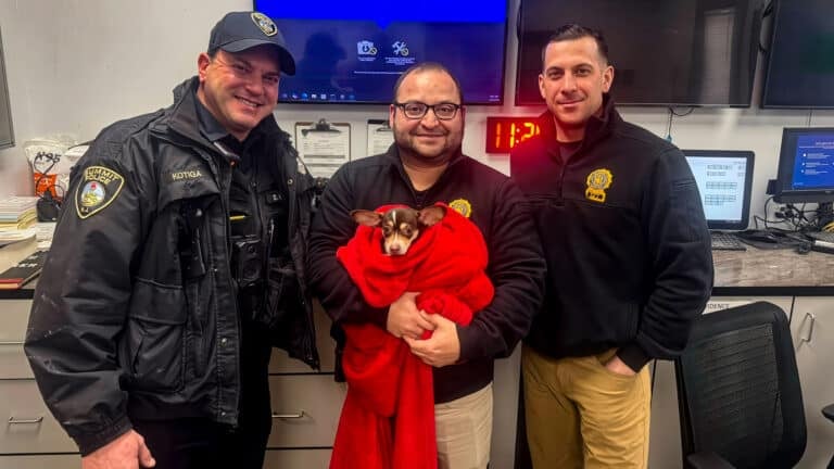 Tiny Chihuahua Survives Blizzard With Drone Help