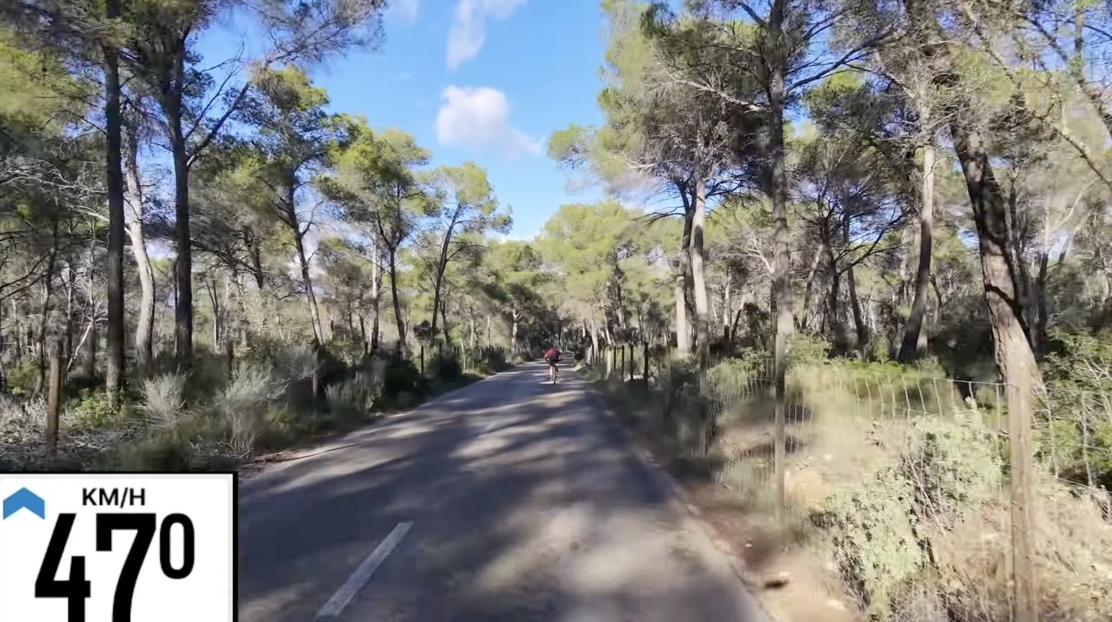 Dji Neo 2 Gauntlet Test: From Tight Trails To Abandoned Resorts At 48 Km/H