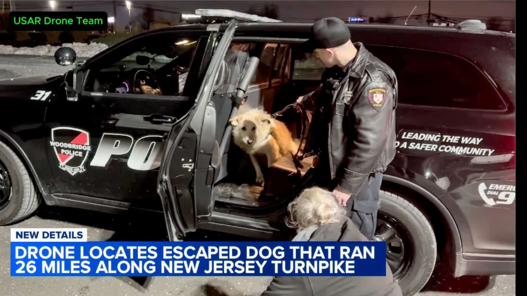 Runaway Retriever Vs The Turnpike, Drones Win