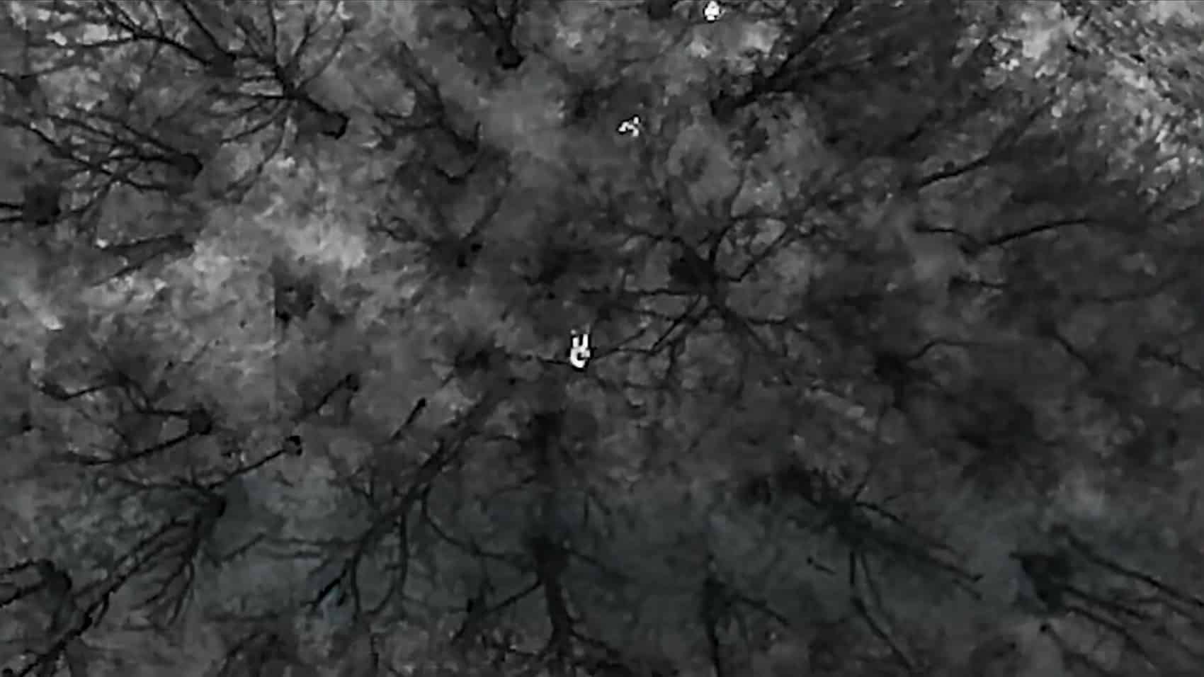 Tennessee Deputies Use Drone To Find Suspect In Leaves