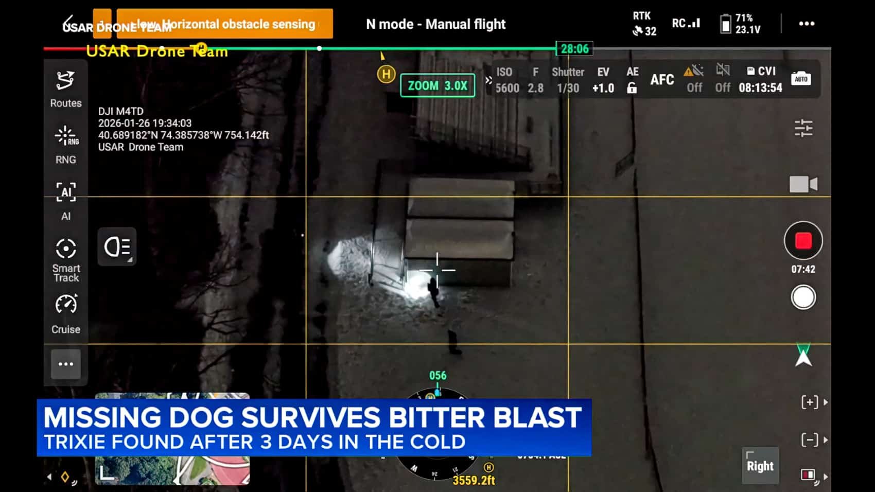 Tiny Chihuahua Survives Blizzard With Drone Help