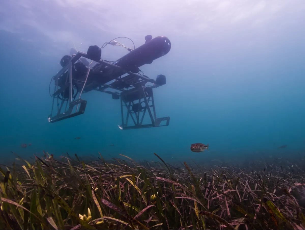 Ulysses Mako Auv Being Used For Seagrass Restoration In Perth, Australia | Photo Credits: Stathi Weir, Ulysses