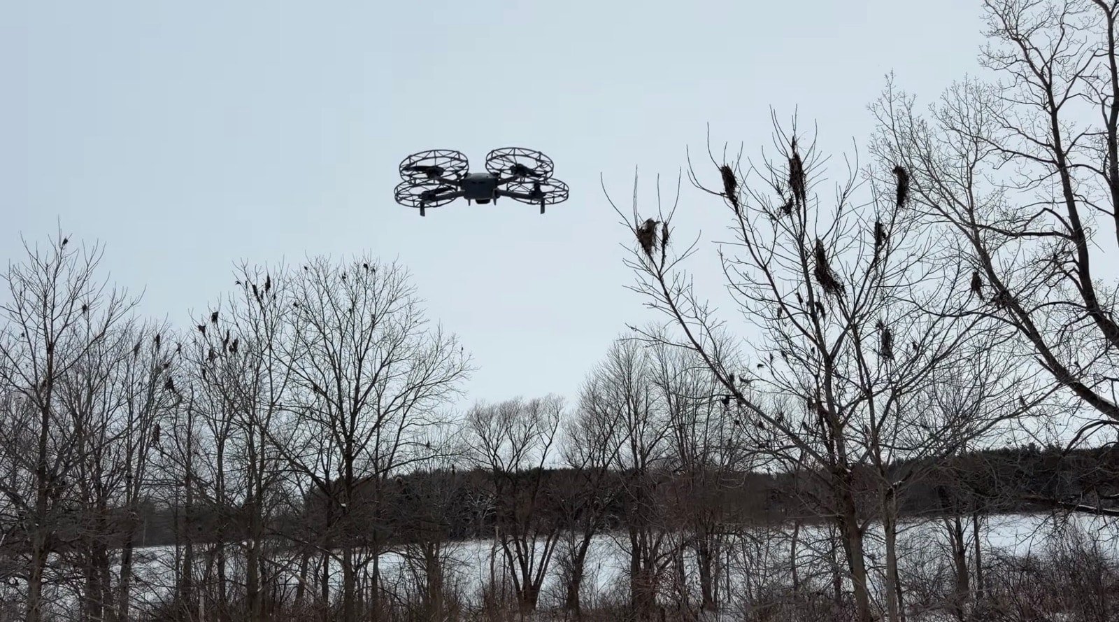 Dji Mini 5 Pro Prop Guards Hands-On: The Firmware Restrictions Nobody Mentioned