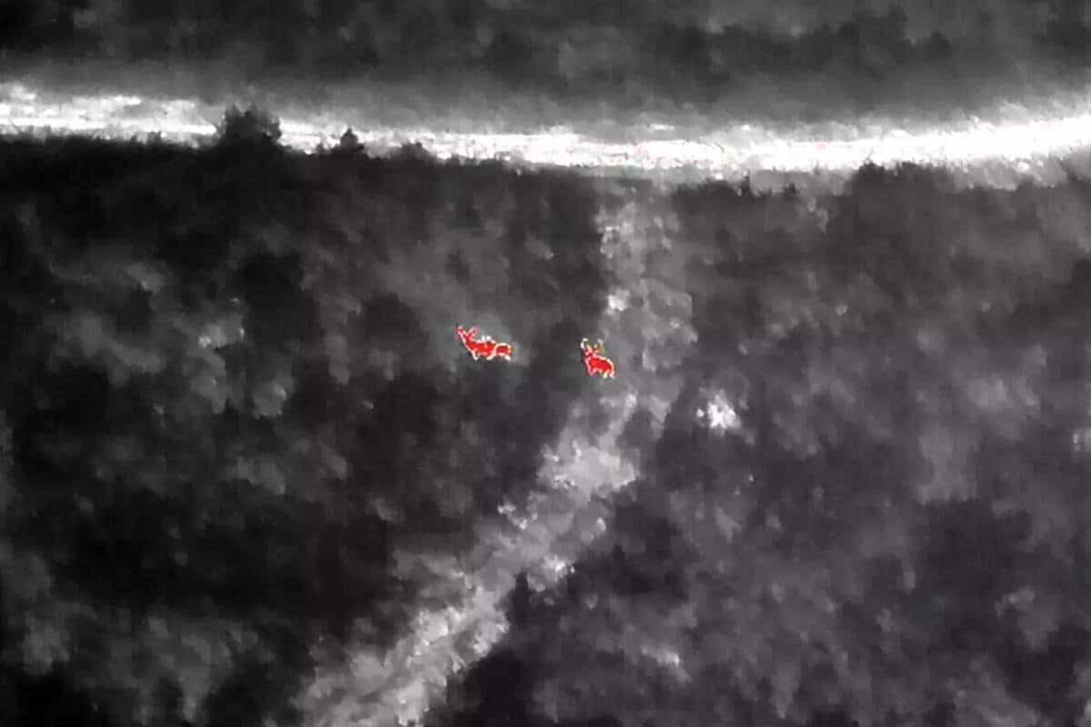 Louisiana Weighs Drones For Tracking Wounded Game