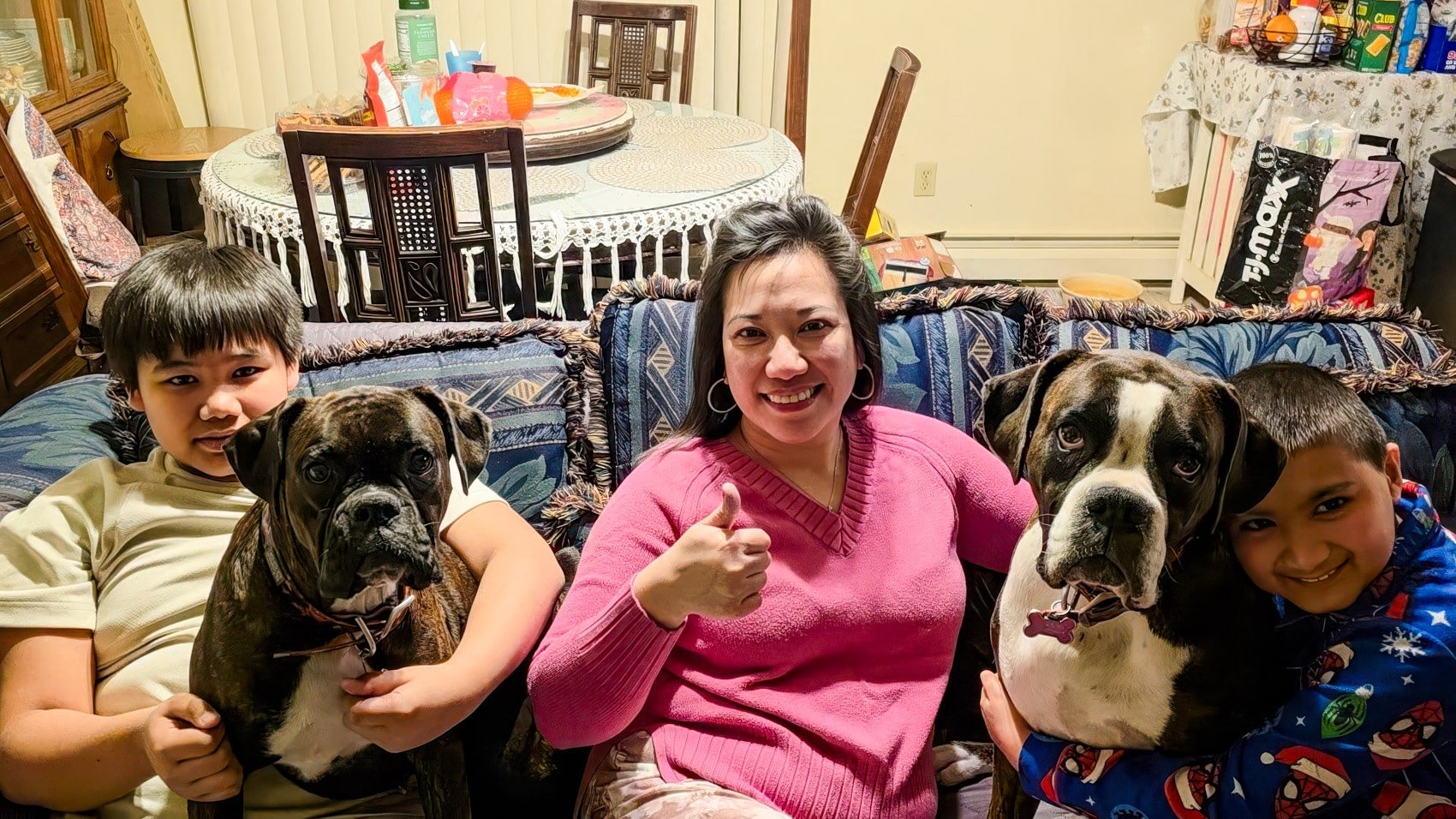 Dji Drones Find Missing Dogs Alive In Arctic Cold