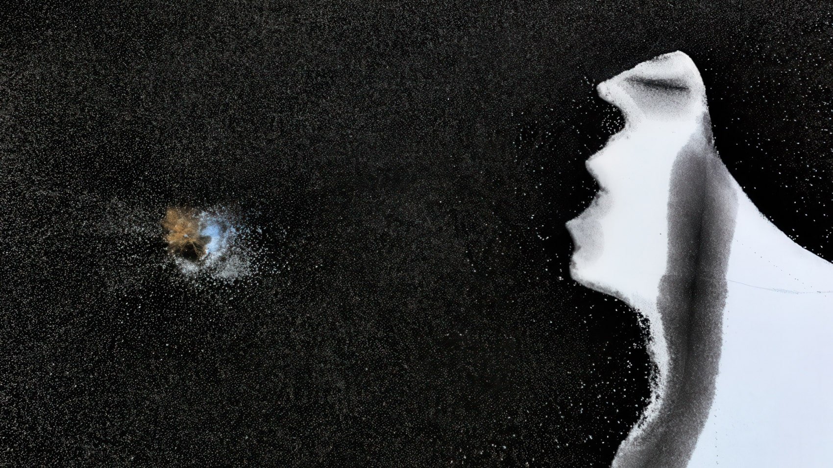 Skypixel’s 11Th Contest Raises The Bar Again