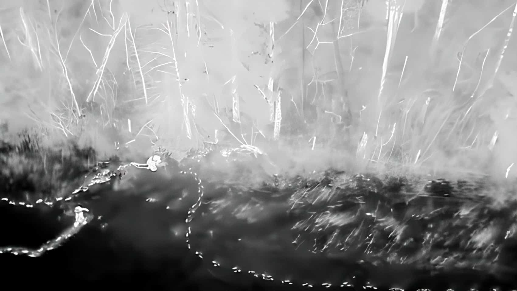 Thermal Drones Help Rescue Dog Lost In Ohio Snowstorm