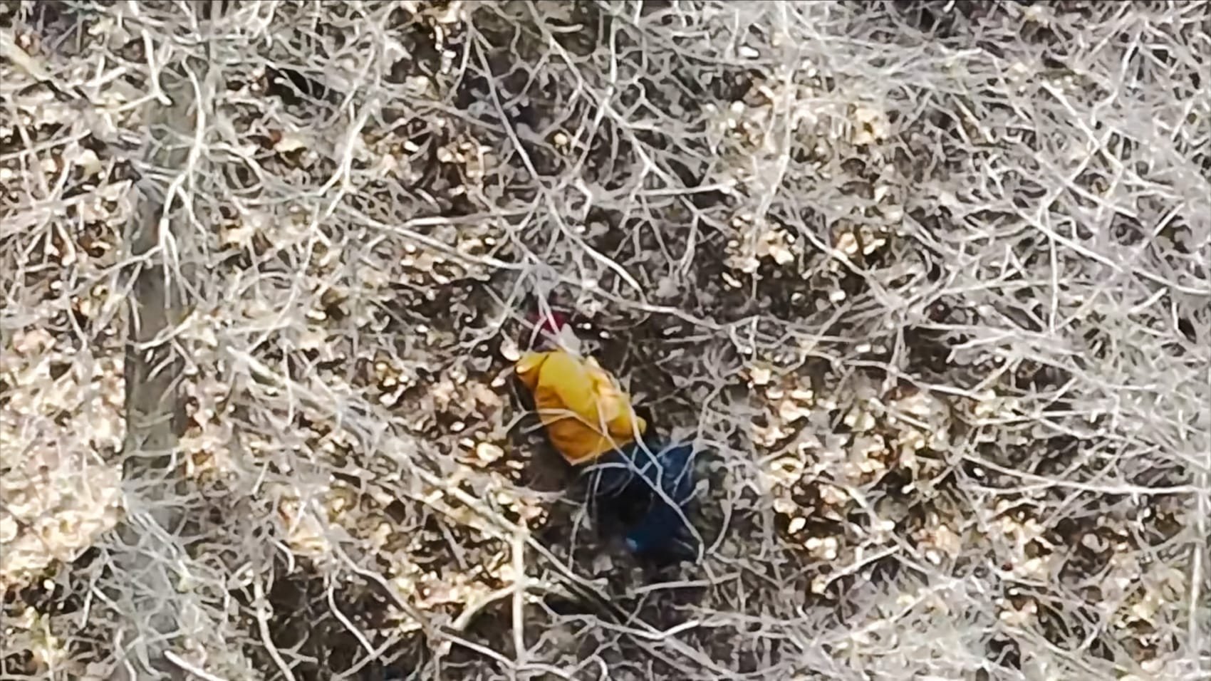 Drone Finds Injured Man In Iowa Ravine