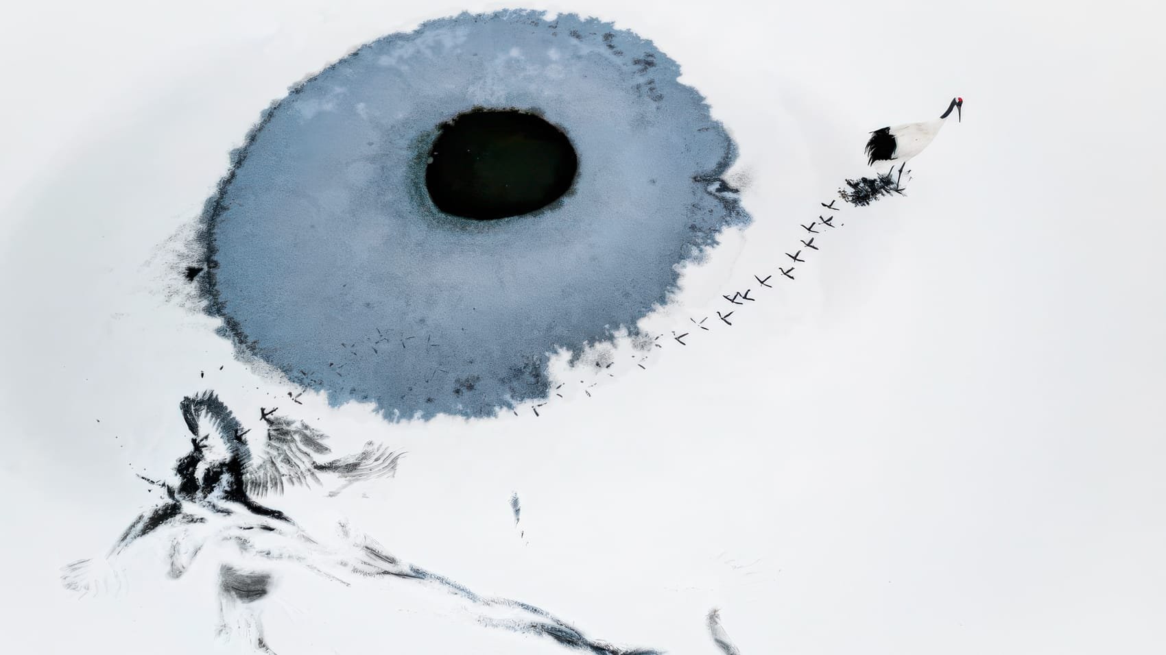 Skypixel’s 11Th Contest Raises The Bar Again