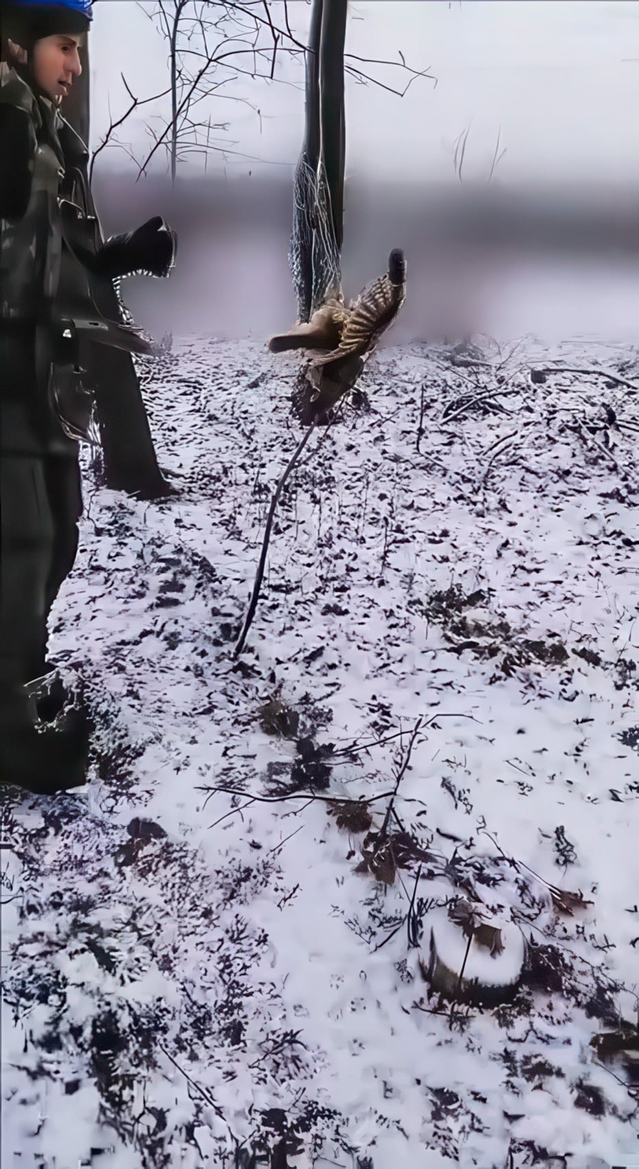 Fiber Optic Drone Webs Are Reshaping Ukraine’s Battlefields