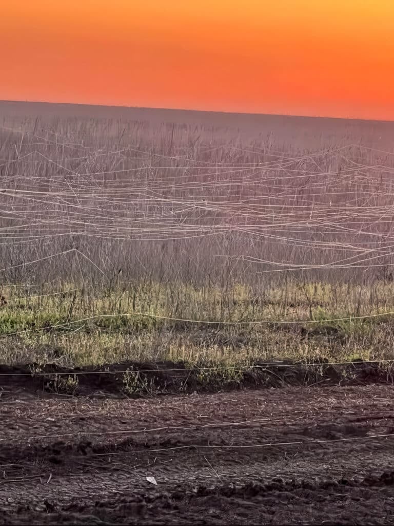 Fiber Optic Drone Webs Are Reshaping Ukraine’s Battlefields
