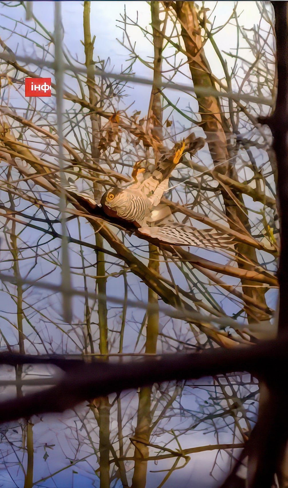 Fiber Optic Drone Webs Are Reshaping Ukraine’s Battlefields