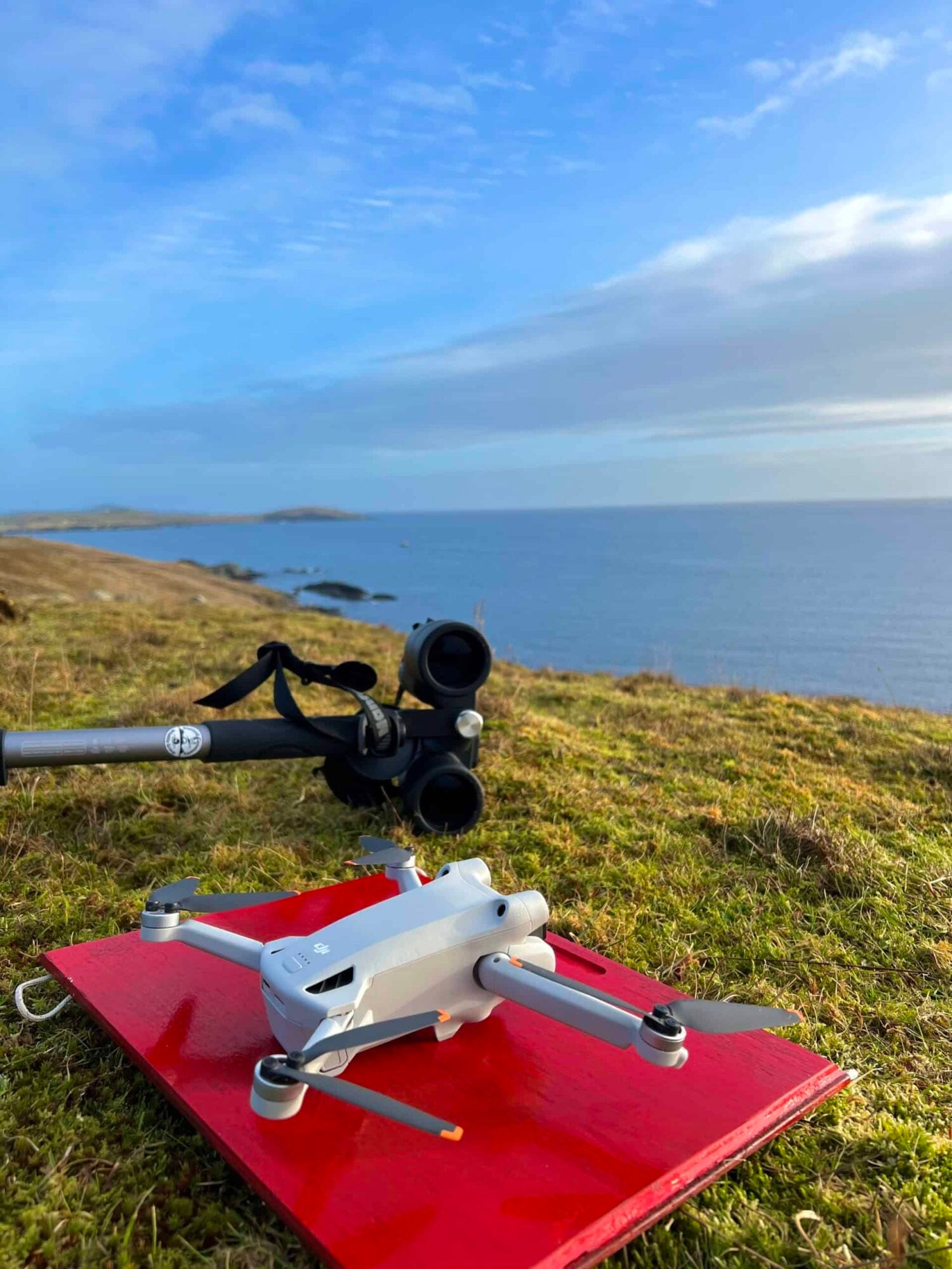 Drones Catch Porpoises In The Act Off Shetland