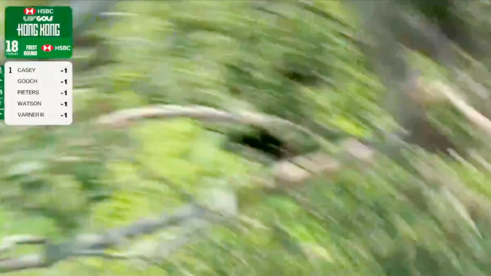 A Broadcast Drone Just Ate A Tree At Liv Golf Hong Kong