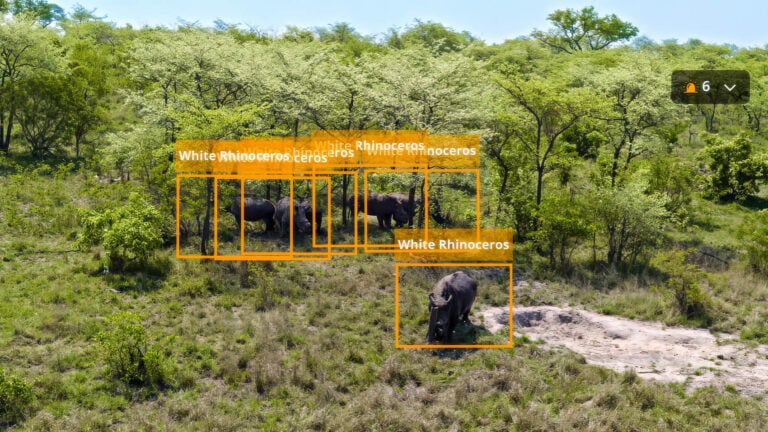 Dji Wants Developers To Build The Future Of Aerial Ai. The Prize Is Real.