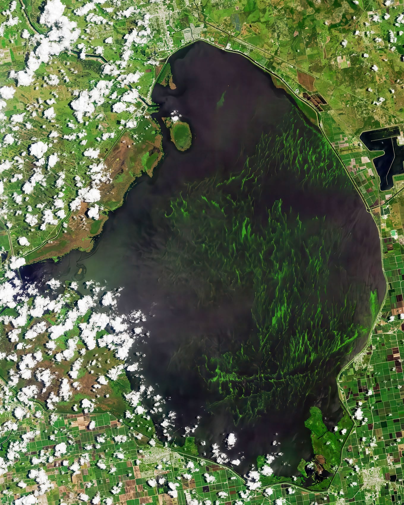 Drones Will Hunt Toxic Algae Across Florida'S Lake Okeechobee