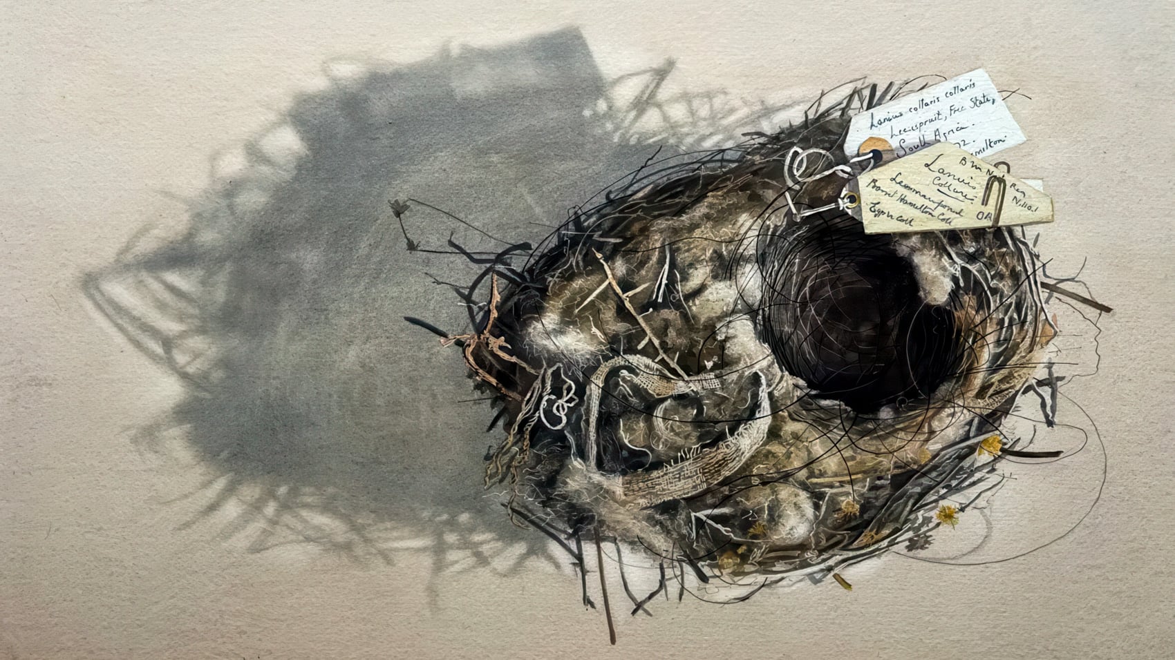 The Bird, The Nest, And The Soldier Who Lost His Arm 6 The Bird, The Nest, And The Soldier Who Lost His Arm