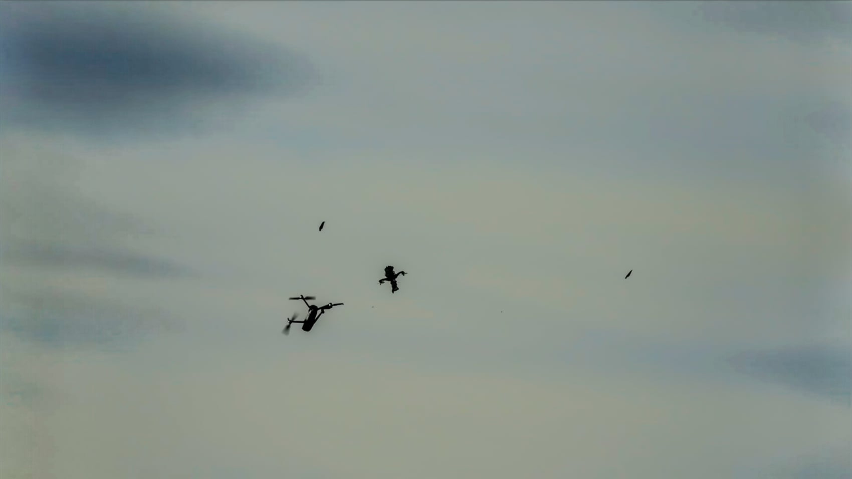 U.s. Startup Hunts Fpv Drones Using Sound Alone 6 U.s. Startup Hunts Fpv Drones Using Sound Alone