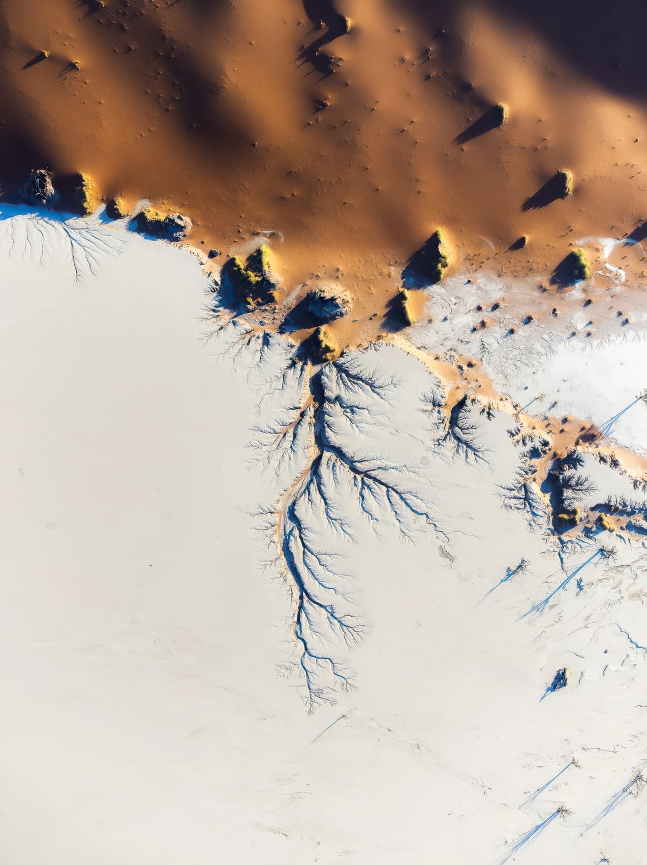 Dji Skypixel 2026: The Best Drone Photos On The Planet