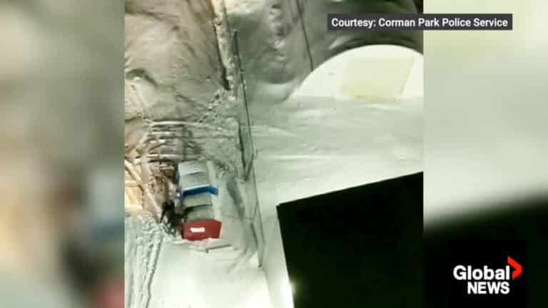 Dji Mavic 3 Enterprise Saves Man In Dumpster At Minus 20