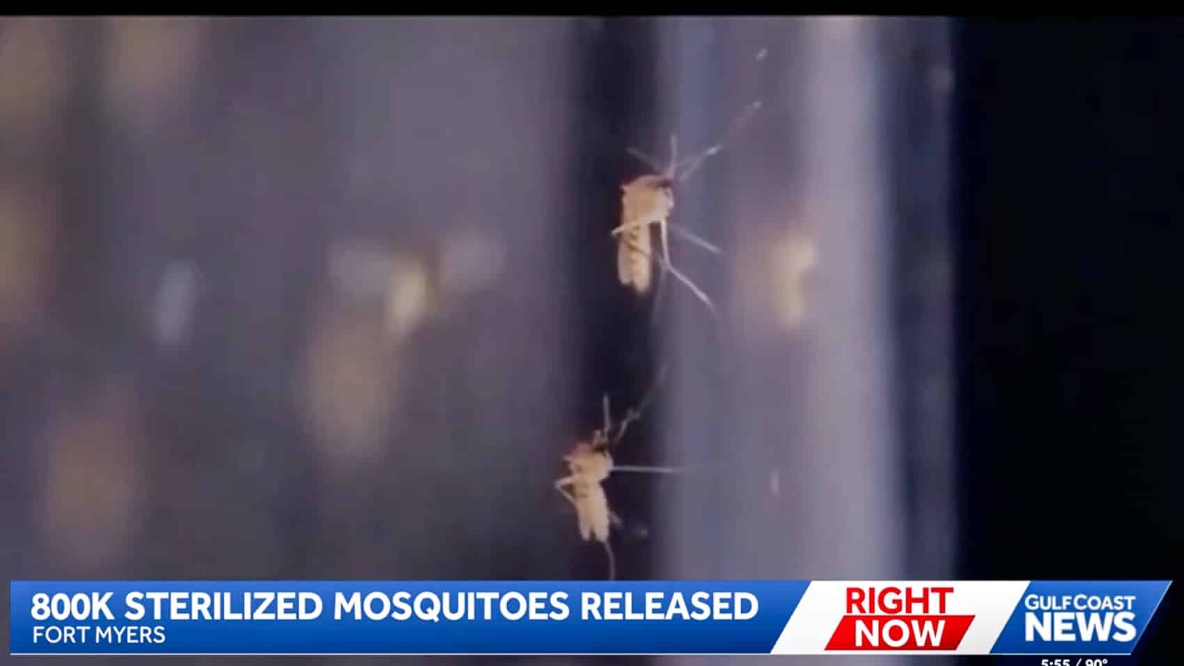 Lee County Deploys Skydio X10 For Sterile Mosquito Releases