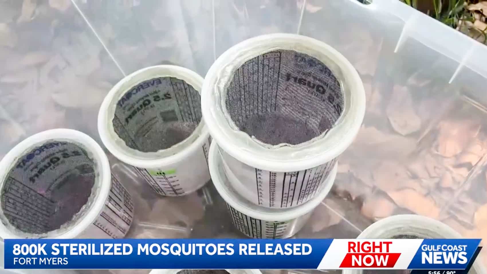 Lee County Deploys Skydio X10 For Sterile Mosquito Releases