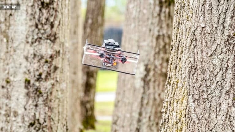 Bat-Inspired Drone Navigates Smoke, Snow, Darkness