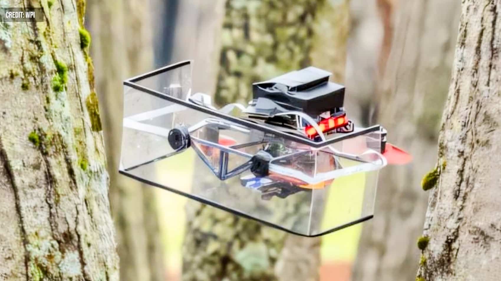 Bat-Inspired Drone Navigates Smoke, Snow, Darkness