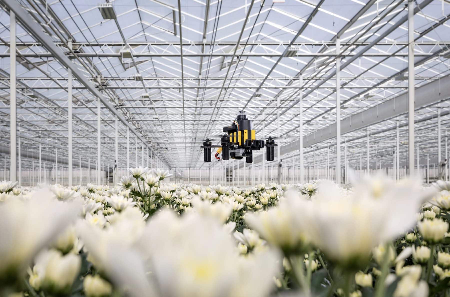 Tu Delft Drone Flies 600 Meters Home On 42 Kilobytes By Copying A Honeybee