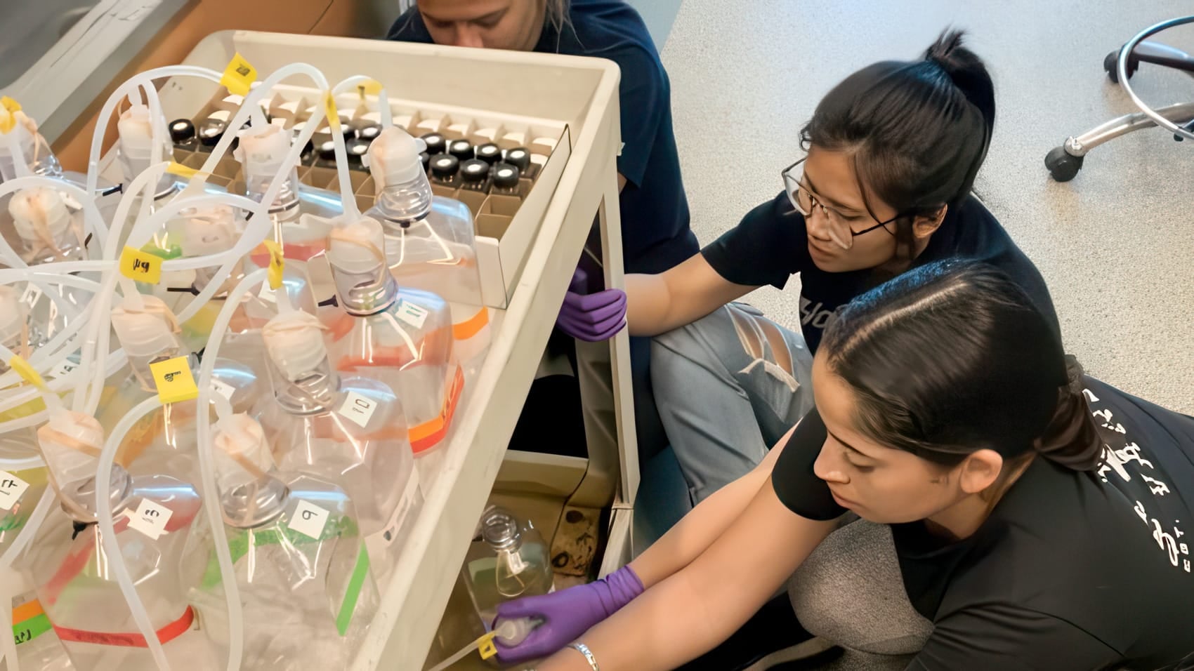 Ai Drones Give 5-Week Warning On Vibrio Outbreaks