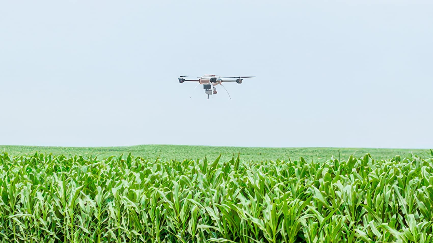 K-State Salina Trains Kansas Farmers To Fly Spray Drones