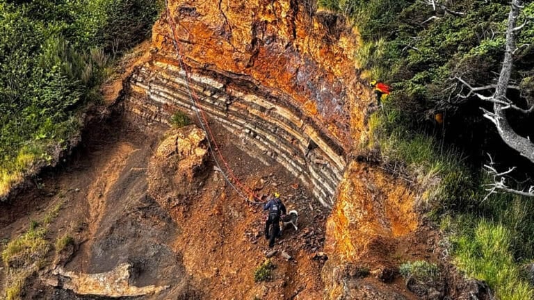 A Dji Police Drone Found A Dog Stranded On An Oregon Cliff