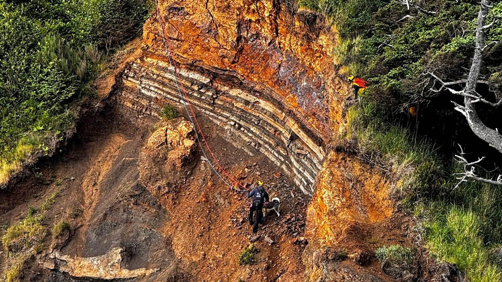 A Dji Police Drone Found A Dog Stranded On An Oregon Cliff