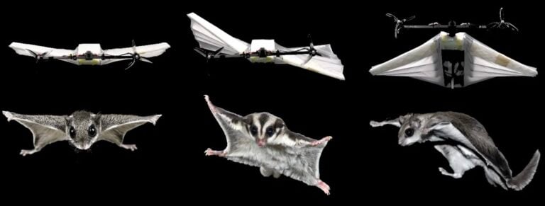 Tu Delft'S Squirreldrone Morphs Its Whole Body To Fly, Ditching The Bird Playbook Everyone Else Copies