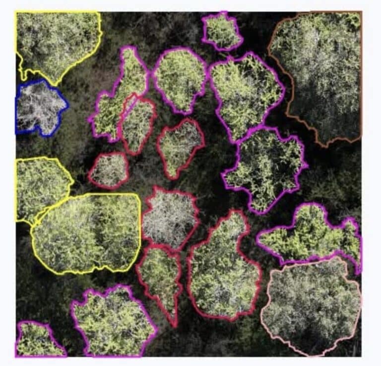 Dji Matrice 4E Maps 29 Native Species Across 130 Hectares In Open-Source Flora Study